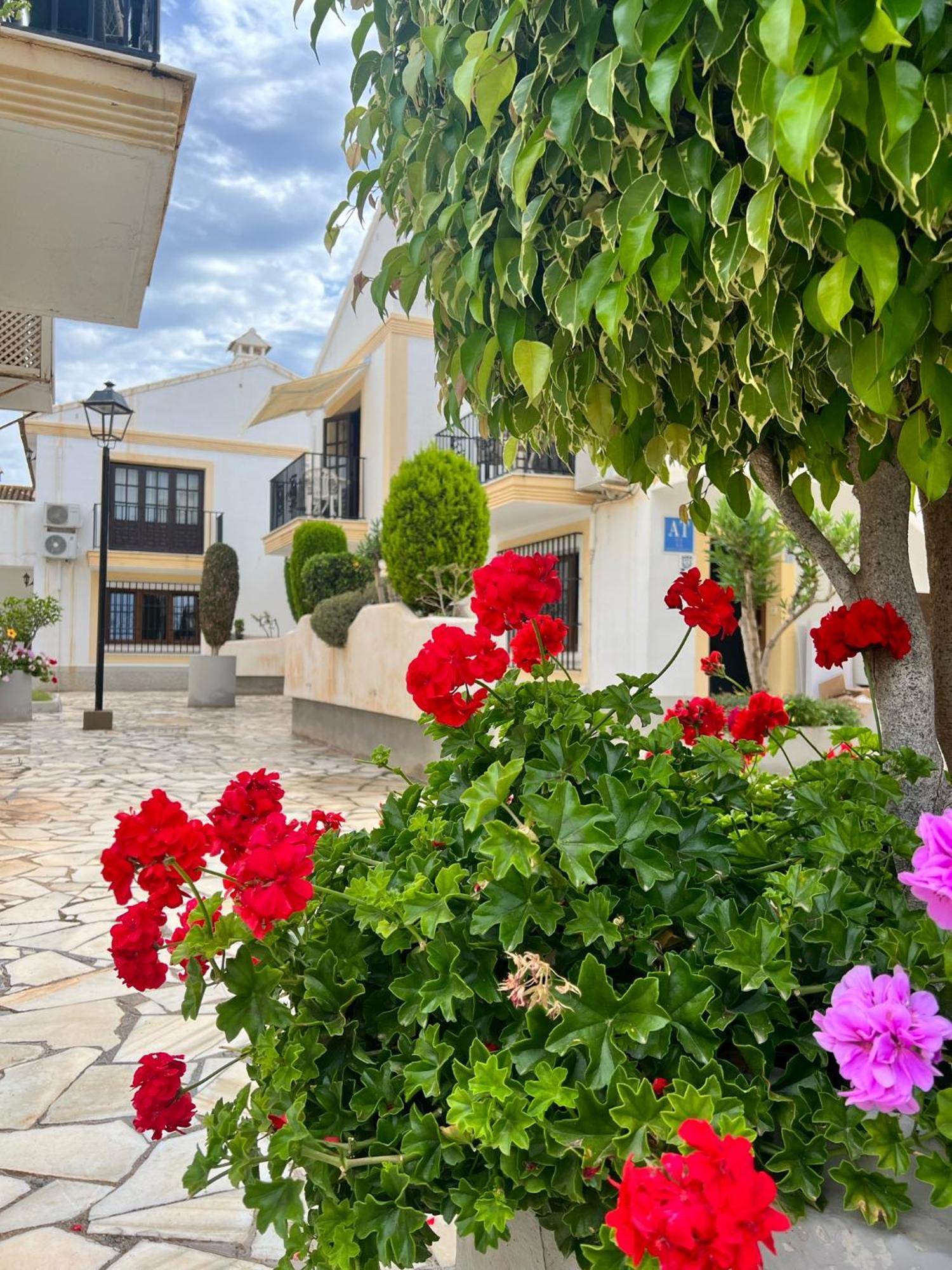 Apartment Marisol Playa Andalusia 150 M From The Beach, Spain *